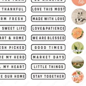 Katie Pertiet Designs Digital Scrapbooking