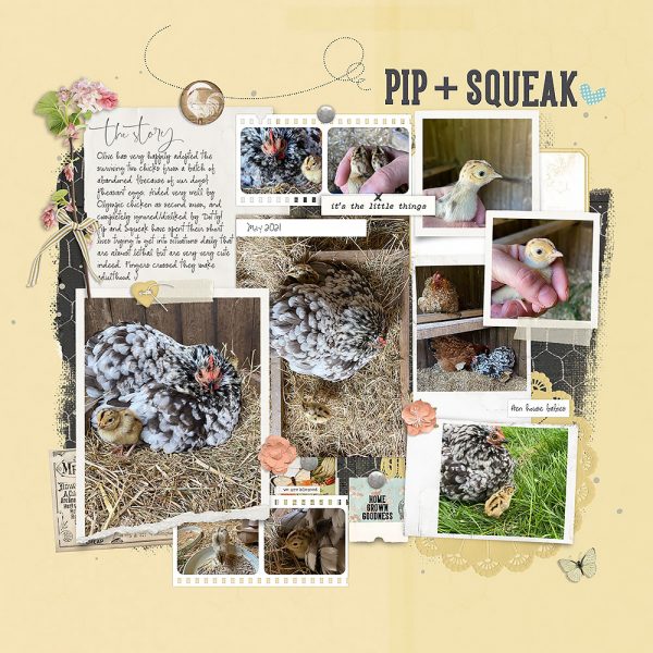 DIY Scrapbook Kit with Embelishments - Pastel Graden Theme 