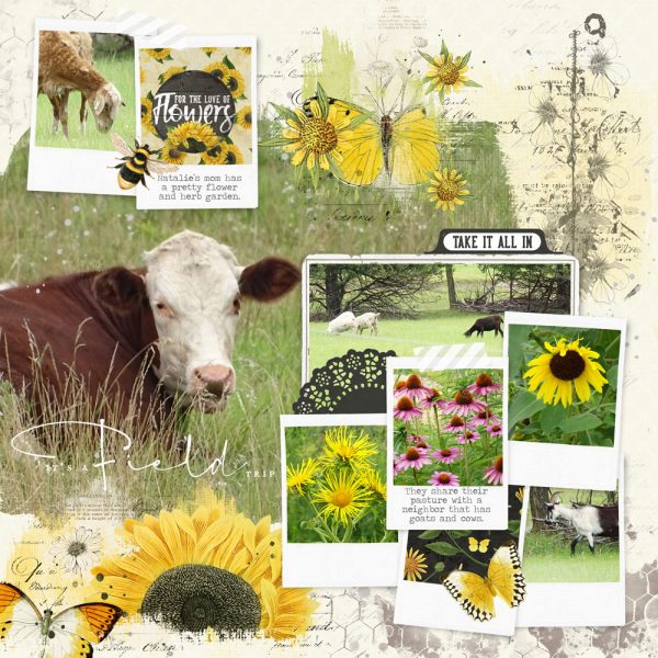 Katie Pertiet Designs Digital Scrapbooking