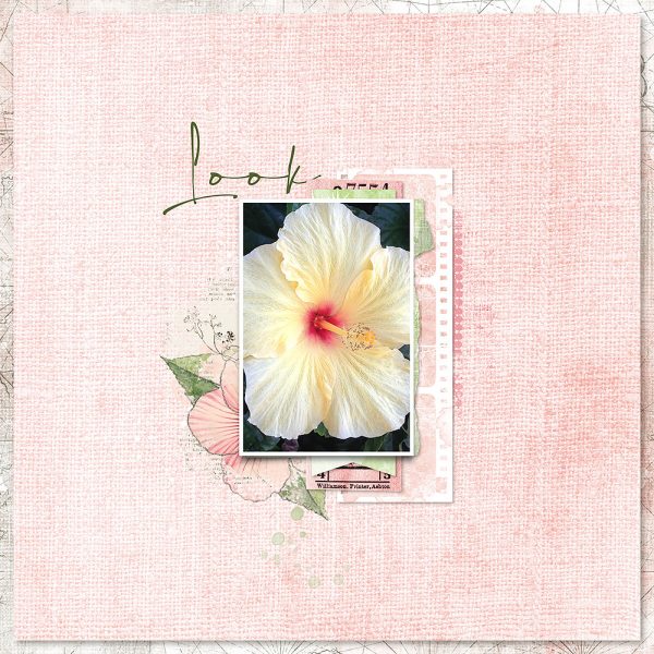 Katie Pertiet Designs Digital Scrapbooking