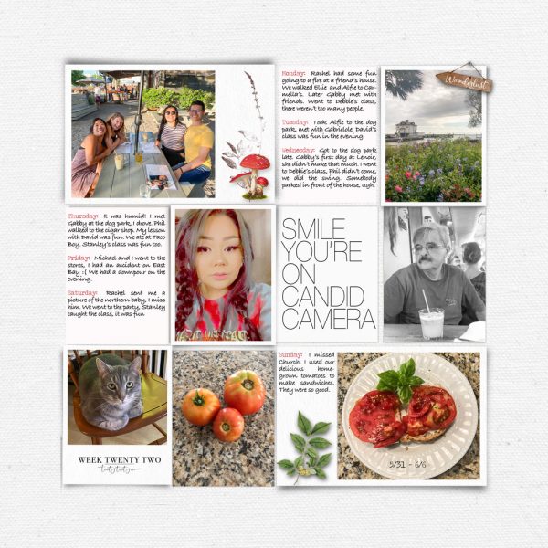 Katie Pertiet Designs Digital Scrapbooking