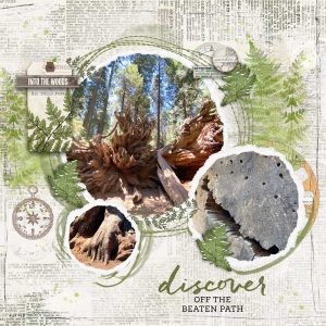 Katie Pertiet Designs Digital Scrapbooking