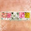 Katie Pertiet Designs Digital Scrapbooking