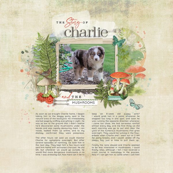 Katie Pertiet Designs Digital Scrapbooking