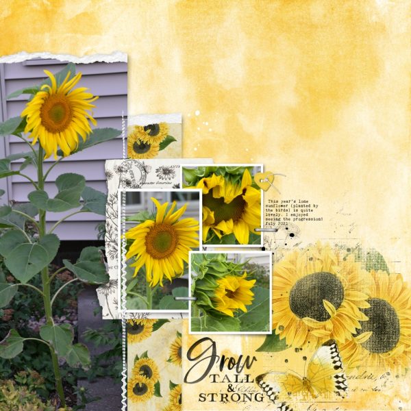 Katie Pertiet Designs Digital Scrapbooking