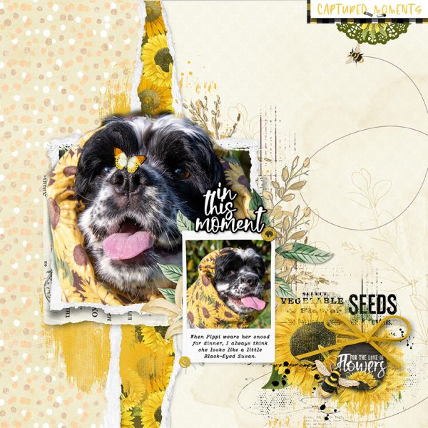 Katie Pertiet Designs Digital Scrapbooking