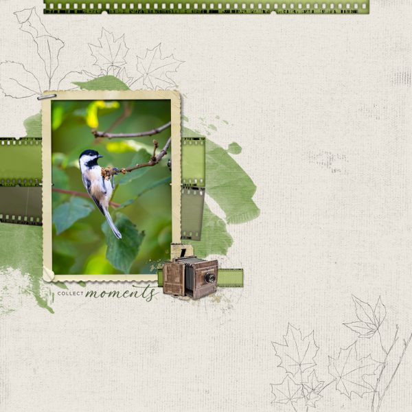 Katie Pertiet Designs Digital Scrapbooking