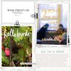 Katie Pertiet Designs Digital Scrapbooking