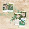 Katie Pertiet Designs Digital Scrapbooking