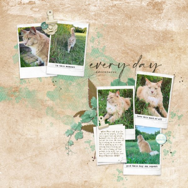 Katie Pertiet Designs Digital Scrapbooking