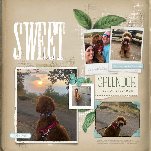 Katie Pertiet Designs Digital Scrapbooking