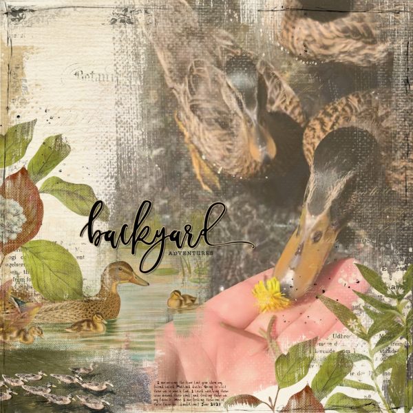 Katie Pertiet Designs Digital Scrapbooking