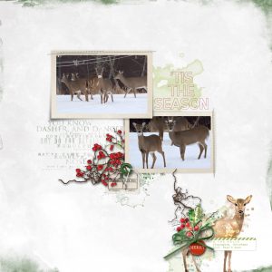 Katie Pertiet Designs Digital Scrapbooking