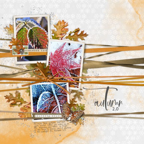 Katie Pertiet Designs Digital Scrapboooking