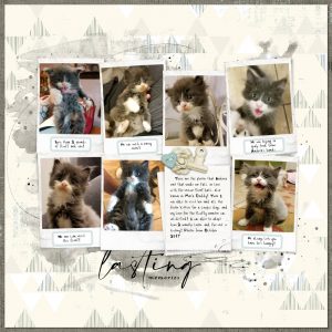 Katie Pertiet Designs Digital Scrapbooking