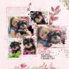 Katie Pertiet Designs Digital Scrapbooking