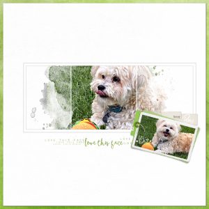 Katie Pertiet Designs Digital Scrapbooking