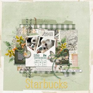 Katie Pertiet Designs Digital Scrapbooking