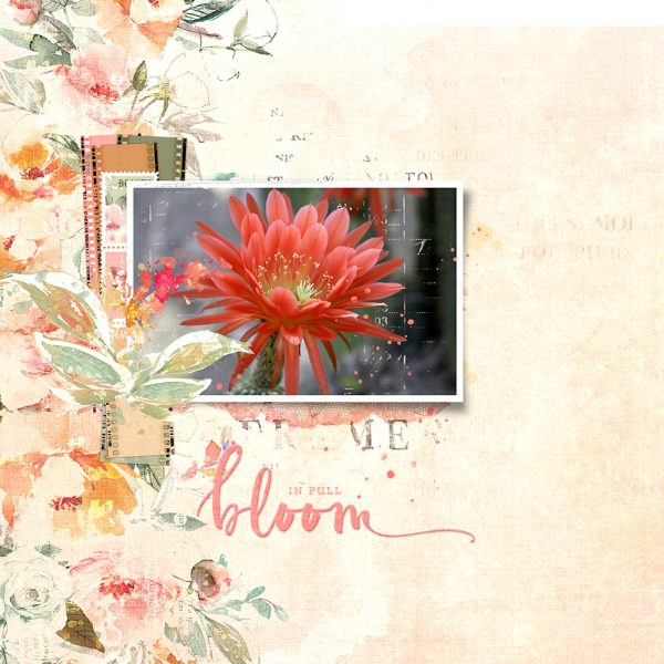 Katie Pertiet Designs Digital Scrapbooking