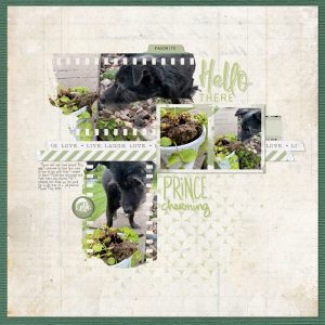 Katie Pertiet Designs Digital Scrapbooking