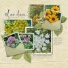 Katie Pertiet Designs Digital Scrapbooking