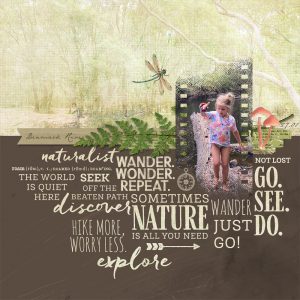 Katie Pertiet Designs Digital Scrapbooking