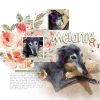 Katie Pertiet Designs Digital Scrapbooking