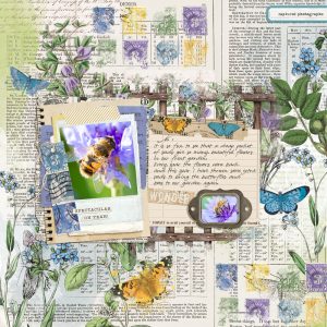 Katie Pertiet Designs Digital Scrapbooking