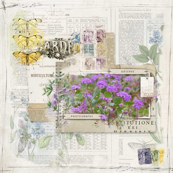 Katie Pertiet Designs Digital Scrapbooking