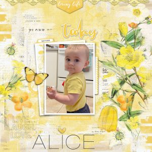 Spectrum Sherbet Scrapbooking Katie Pertiet Designs