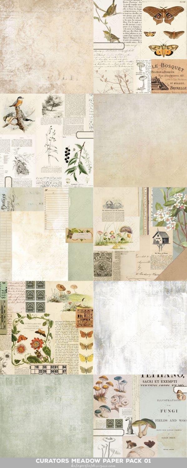 Digital Scrapbooking Layout | Digital Scrapbook Paper