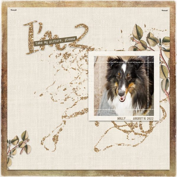 Digital Scrapbooking Layout | Digital stamping