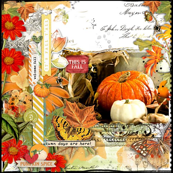 Digital Scrapbooking Layout | Scrapbook Embellishments