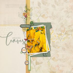 Digital Scrapbooking Layout | Scrapbook Embellishments