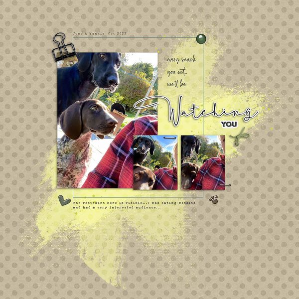 Digital Scrapbook Layout | Painted Photos