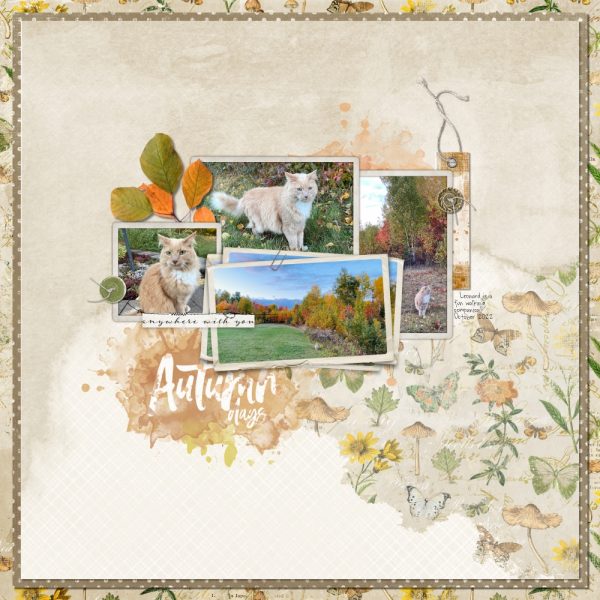 Katie Pertiet Vintage Scrapbooking Collection