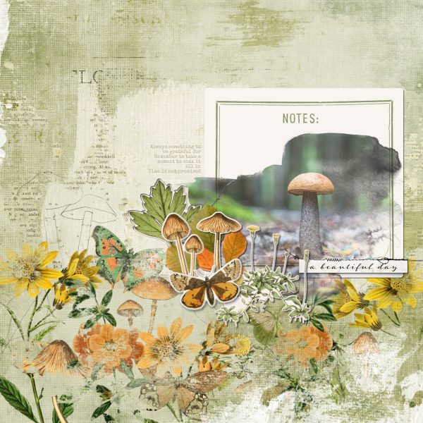 Katie Pertiet Vintage Scrapbooking Collection