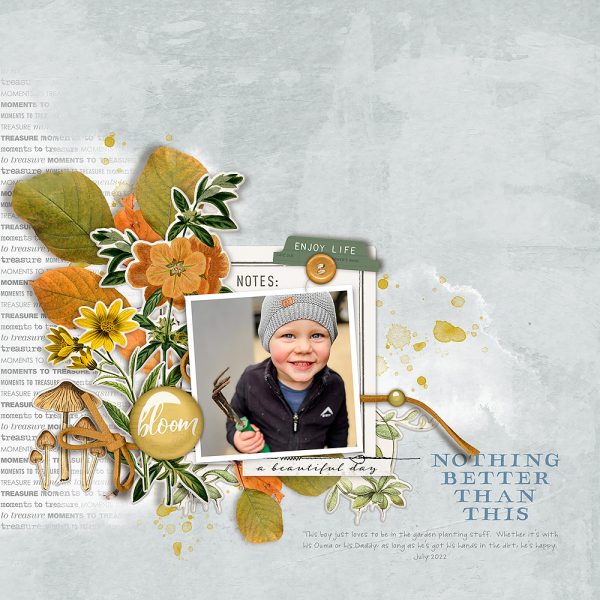 Katie Pertiet Vintage Scrapbooking Collection