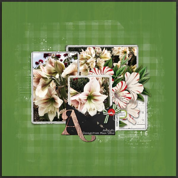 Digital Scrapbooking Layout | Vintage Christmas Lodge Scrapbook Kit