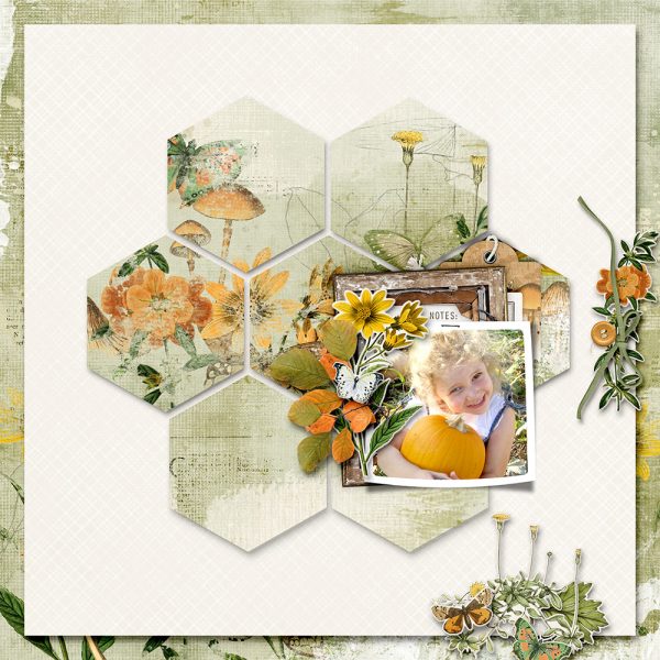 Katie Pertiet Vintage Scrapbooking Collection