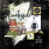 Digital Scrapbooking Layout | Digital Scrapbook Template