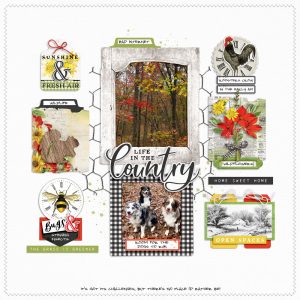 Digital Scrapbooking Layout | Vintage Artistry Countryside