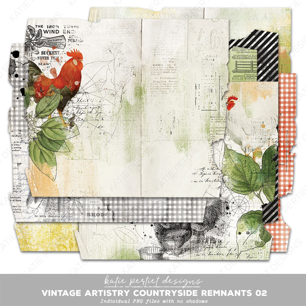 Digital Scrapbooking Kits, Ornate Paper Frames 02 (HR)-(ADBD), Heritage,  Vintage, Weddings