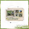 Digital Scrapbooking Layout | Vintage Artistry Countryside