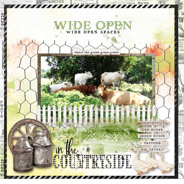 Digital Scrapbooking Layout | Vintage Artistry Countryside