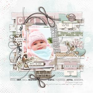 Vintage Winter Woods Scrapbooking Collection