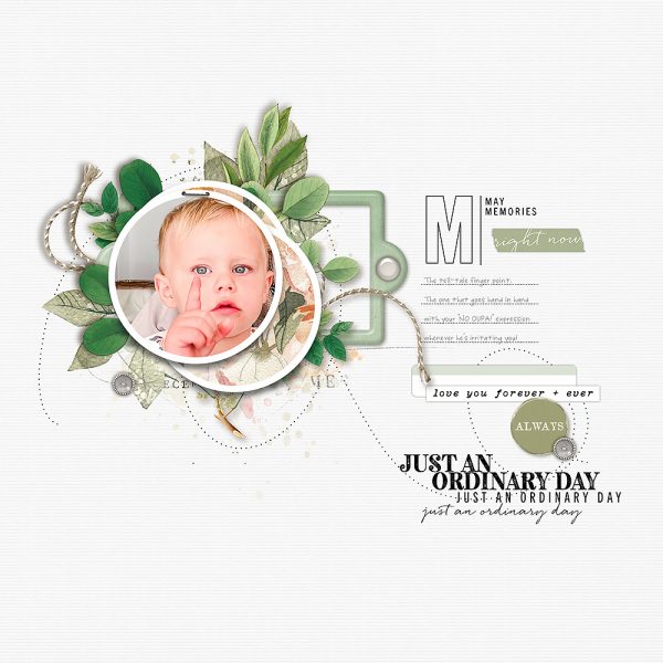 Digital Scrapbooking Layout