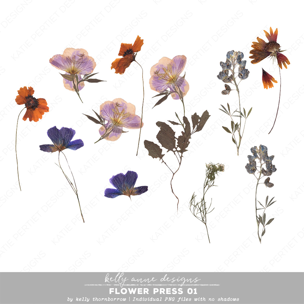 Flower Press 01 - Katie Pertiet Designs
