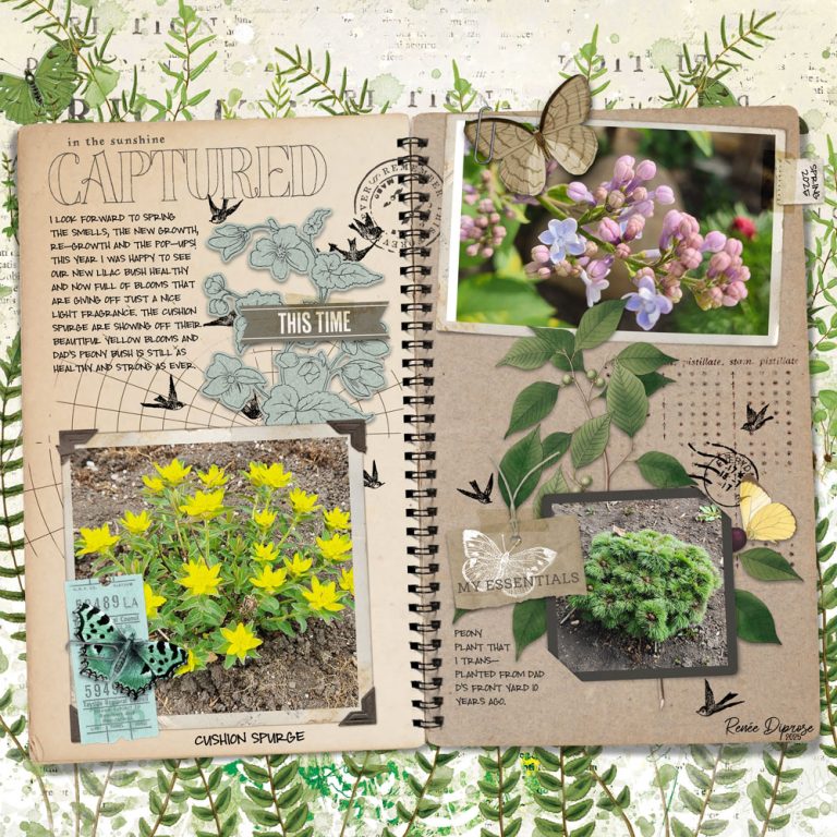 Krafty Journal Layered Template Bundle - Katie Pertiet Designs